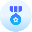 Medal of honor