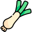 Spring onion