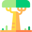 Baobab