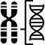 Chromosome