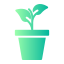 Plant Pot