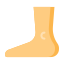 Foot