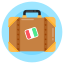 Luggage