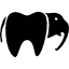 Hathi dental logo