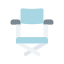 Director chair