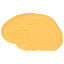 Brain