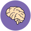 Brain