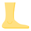 Foot