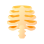 Bone