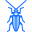 Beetle