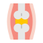 Joint