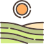 Field