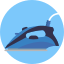 Iron