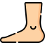 Foot