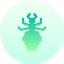 Bug