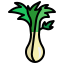 Spring onion