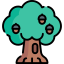 Oak