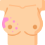 Breast