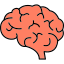 Мозг