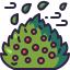 Bush