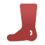 Foot