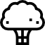Diet