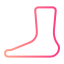 Foot