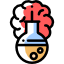 Brain
