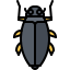 Beetle