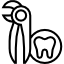 Forceps