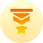 Medal of honor