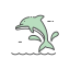 Dolphin