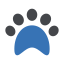 Paw