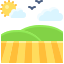 Field