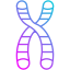 Chromosome