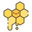 Honeycomb