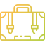 Luggage