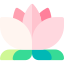 Lotus flower