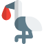 Stork