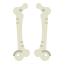 Bone
