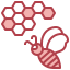 Honeycomb