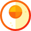Fried egg