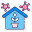 House plants