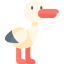 Stork