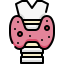 Thyroid