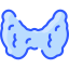 Thyroid gland
