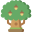 Oak