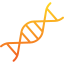 Dna