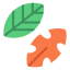 Leaves