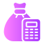 Budget